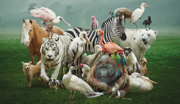 Layihənin idarə edilməsində mikro menecment: nəyin bahasına olursa olsun ondan qaçmaq lazımdırmı?