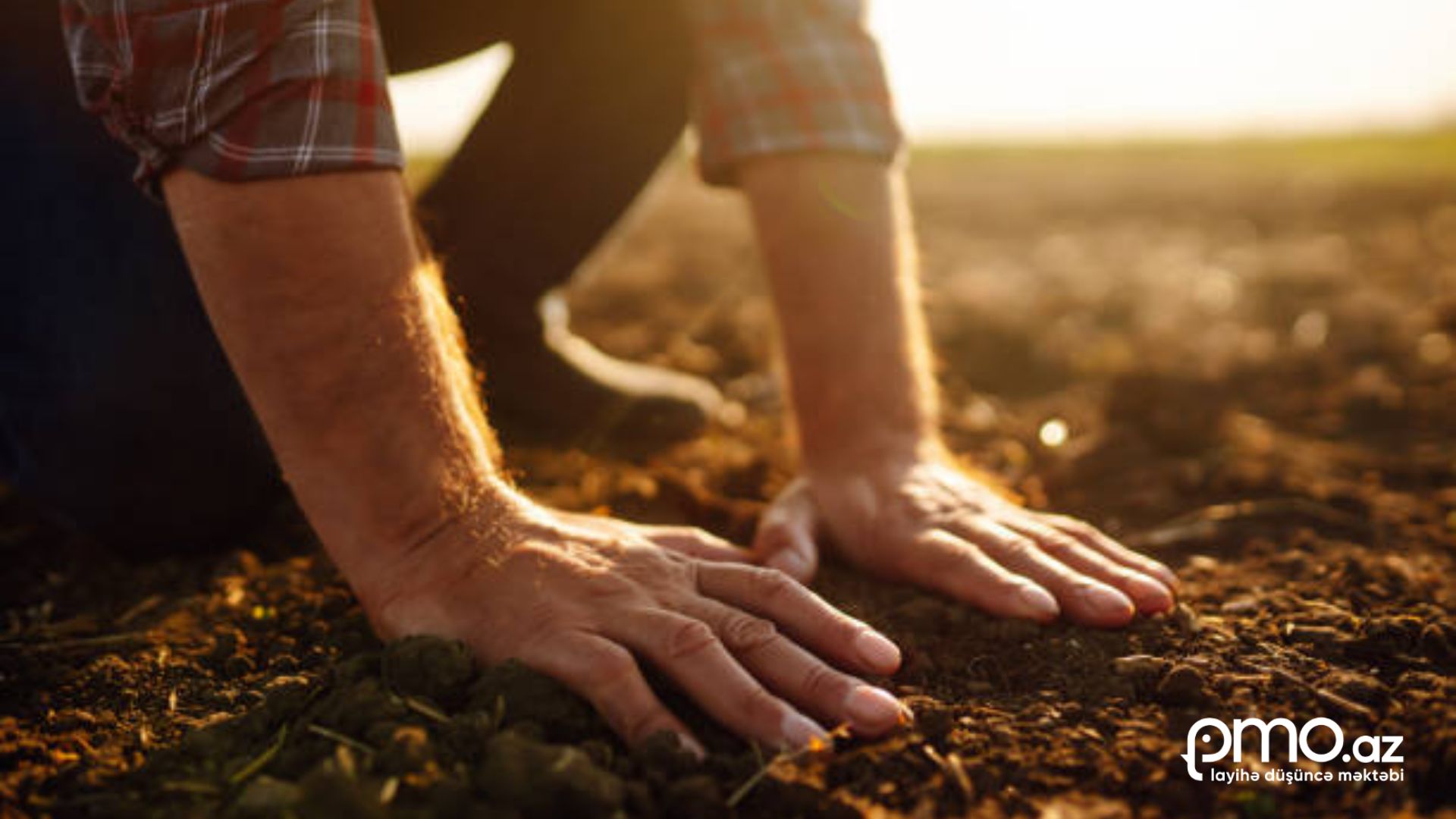 Karbon saymaq yetmir: Artıq “Handprint” yaratmağın vaxtıdır